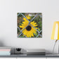 Sunflower Behind A Fence Canvas Gallery Wraps