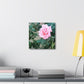Focus on a Pink Rose | High Bloom Collection | Wall Art Print | Life By Ortavia