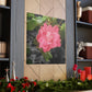 Pink Flower On A Vine | Wall Canvas | Bloom Collection