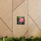 Pink Flower On A Vine | Wall Canvas | Bloom Collection