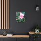 Focus on a Pink Rose | High Bloom Collection | Wall Art Print | Life By Ortavia