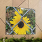 Sunflower Behind A Fence Canvas Gallery Wraps