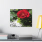 Europeana Red Rose | Wall Art Print | High Bloom Collection | Life By Ortavia