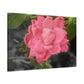 Pink Flower On A Vine | Wall Canvas | Bloom Collection