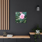 Focus on a Pink Rose | High Bloom Collection | Wall Art Print | Life By Ortavia
