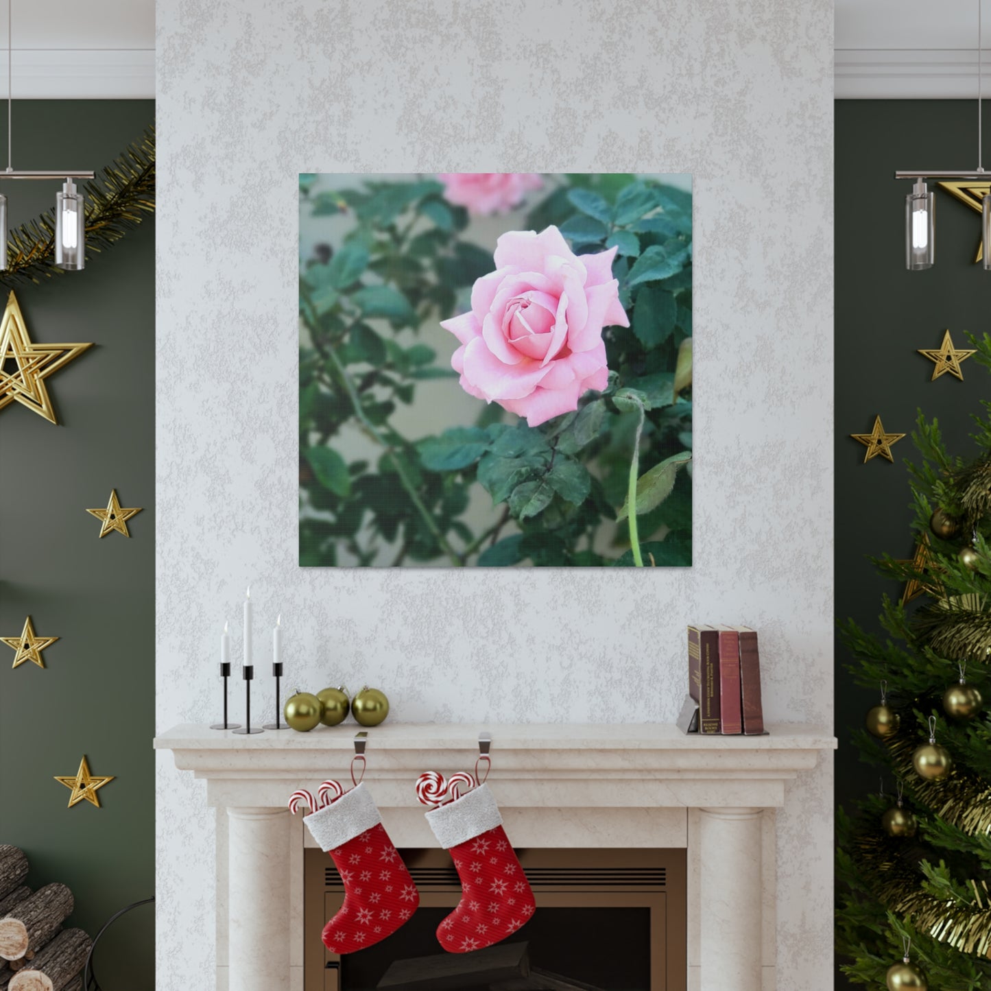 Focus on a Pink Rose | High Bloom Collection | Wall Art Print | Life By Ortavia