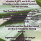 Fresh Aloe Vera Gel