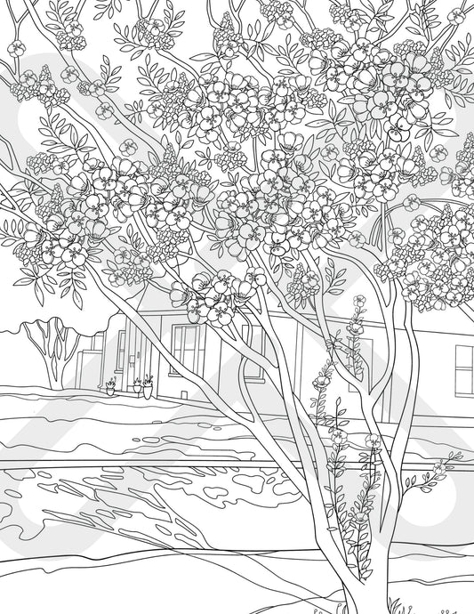 Printable Neighborhood Crapes Coloring Page