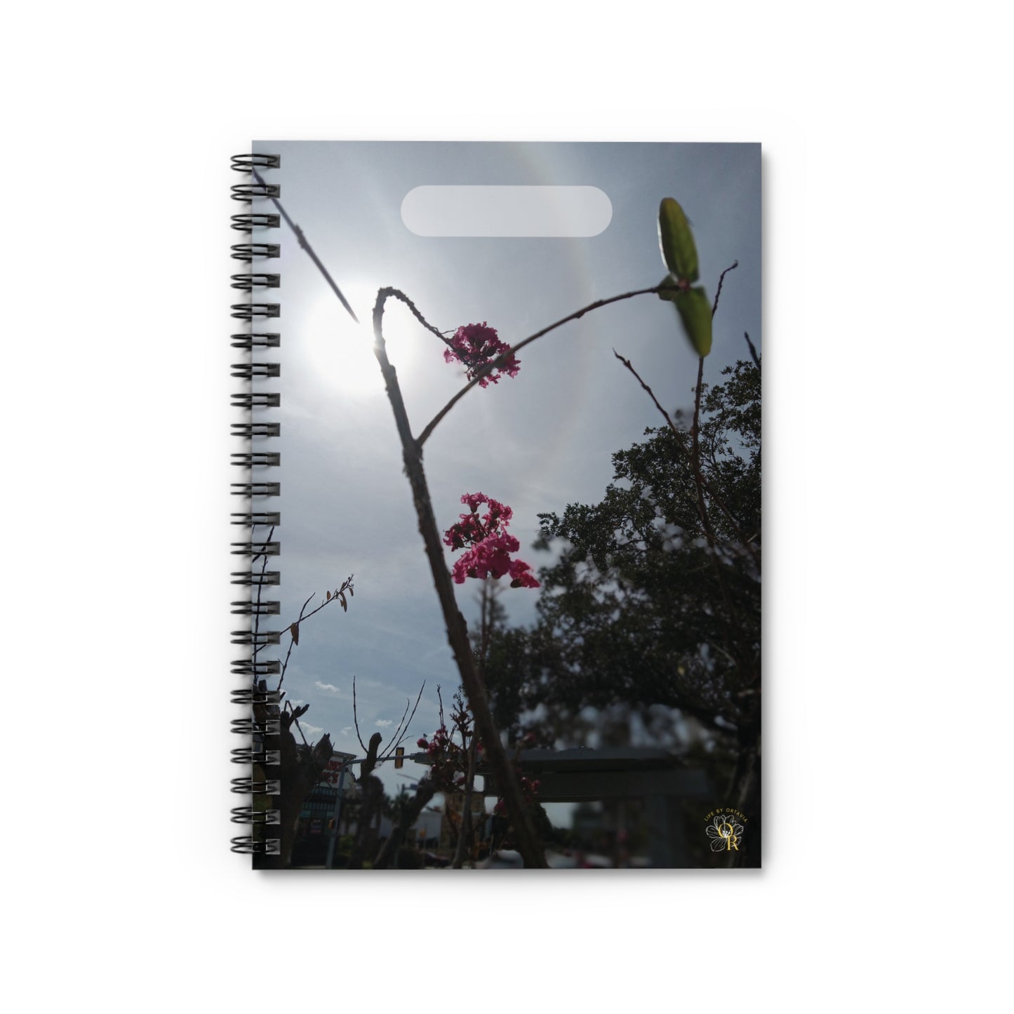 Crape in the Sun | Spiral Notebook 118 pg Ruled