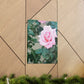 Focus on a Pink Rose | High Bloom Collection | Wall Art Print | Life By Ortavia