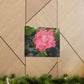 Pink Flower On A Vine | Wall Canvas | Bloom Collection