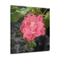 Pink Flower On A Vine | Wall Canvas | Bloom Collection