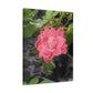 Pink Flower On A Vine | Wall Canvas | Bloom Collection