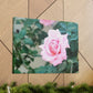 Focus on a Pink Rose | High Bloom Collection | Wall Art Print | Life By Ortavia