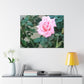 Focus on a Pink Rose | High Bloom Collection | Wall Art Print | Life By Ortavia