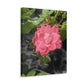 Pink Flower On A Vine | Wall Canvas | Bloom Collection