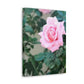 Focus on a Pink Rose | High Bloom Collection | Wall Art Print | Life By Ortavia