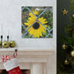 Sunflower Behind A Fence Canvas Gallery Wraps