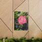 Pink Flower On A Vine | Wall Canvas | Bloom Collection