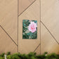 Focus on a Pink Rose | High Bloom Collection | Wall Art Print | Life By Ortavia