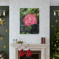 Pink Flower On A Vine | Wall Canvas | Bloom Collection