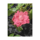 Pink Flower On A Vine | Wall Canvas | Bloom Collection