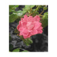 Pink Flower On A Vine | Wall Canvas | Bloom Collection