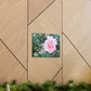 Focus on a Pink Rose | High Bloom Collection | Wall Art Print | Life By Ortavia