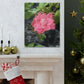 Pink Flower On A Vine | Wall Canvas | Bloom Collection