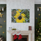 Sunflower Behind A Fence Canvas Gallery Wraps