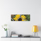 Sunflower Behind A Fence Canvas Gallery Wraps