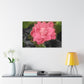 Pink Flower On A Vine | Wall Canvas | Bloom Collection