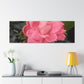 Pink Flower On A Vine | Wall Canvas | Bloom Collection