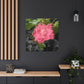 Pink Flower On A Vine | Wall Canvas | Bloom Collection