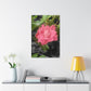 Pink Flower On A Vine | Wall Canvas | Bloom Collection