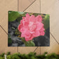 Pink Flower On A Vine | Wall Canvas | Bloom Collection