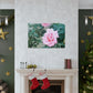 Focus on a Pink Rose | High Bloom Collection | Wall Art Print | Life By Ortavia