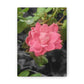 Pink Flower On A Vine | Wall Canvas | Bloom Collection