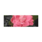 Pink Flower On A Vine | Wall Canvas | Bloom Collection