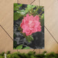 Pink Flower On A Vine | Wall Canvas | Bloom Collection