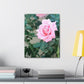 Focus on a Pink Rose | High Bloom Collection | Wall Art Print | Life By Ortavia