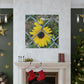 Sunflower Behind A Fence Canvas Gallery Wraps