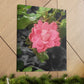 Pink Flower On A Vine | Wall Canvas | Bloom Collection