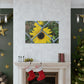 Sunflower Behind A Fence Canvas Gallery Wraps