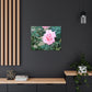 Focus on a Pink Rose | High Bloom Collection | Wall Art Print | Life By Ortavia