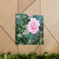 Focus on a Pink Rose | High Bloom Collection | Wall Art Print | Life By Ortavia