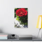 Europeana Red Rose | Wall Art Print | High Bloom Collection | Life By Ortavia