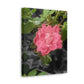 Pink Flower On A Vine | Wall Canvas | Bloom Collection