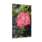 Pink Flower On A Vine | Wall Canvas | Bloom Collection