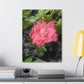 Pink Flower On A Vine | Wall Canvas | Bloom Collection